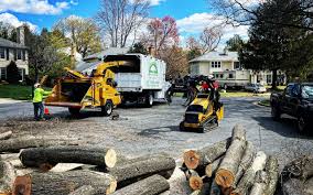 Best Firewood Processing and Delivery  in Lisbon Falls, ME